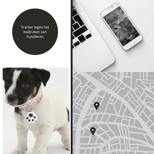 Mini Bluetooth-tracker voor hond & kat (iOS/Android)