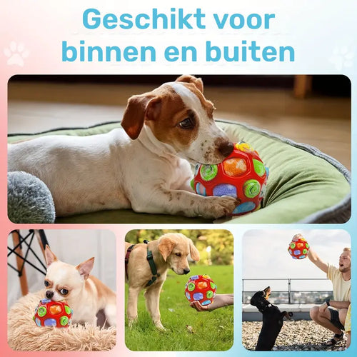 Interactieve snuffelbal hondenspeelgoed