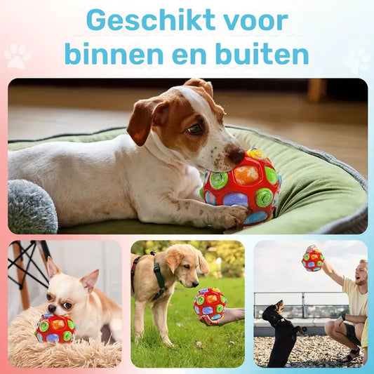 Interactieve snuffelbal hondenspeelgoed