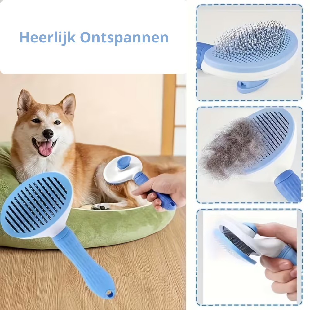 6 in 1 badset voor honden en katten