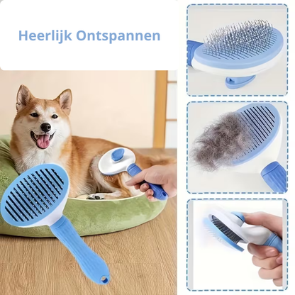 6 in 1 badset voor honden en katten