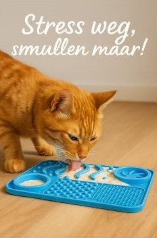 4 in 1 Snuffel- en Likmat met Slowfeeder