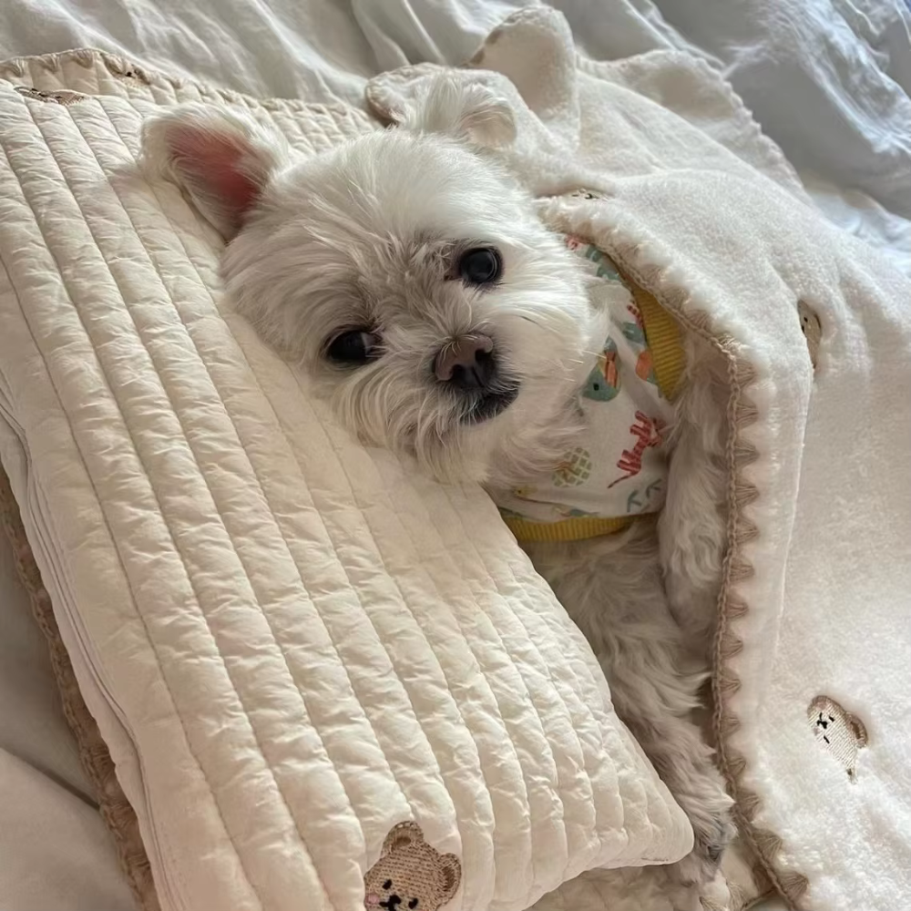 Comfortabele Slaapset voor Honden & Katten