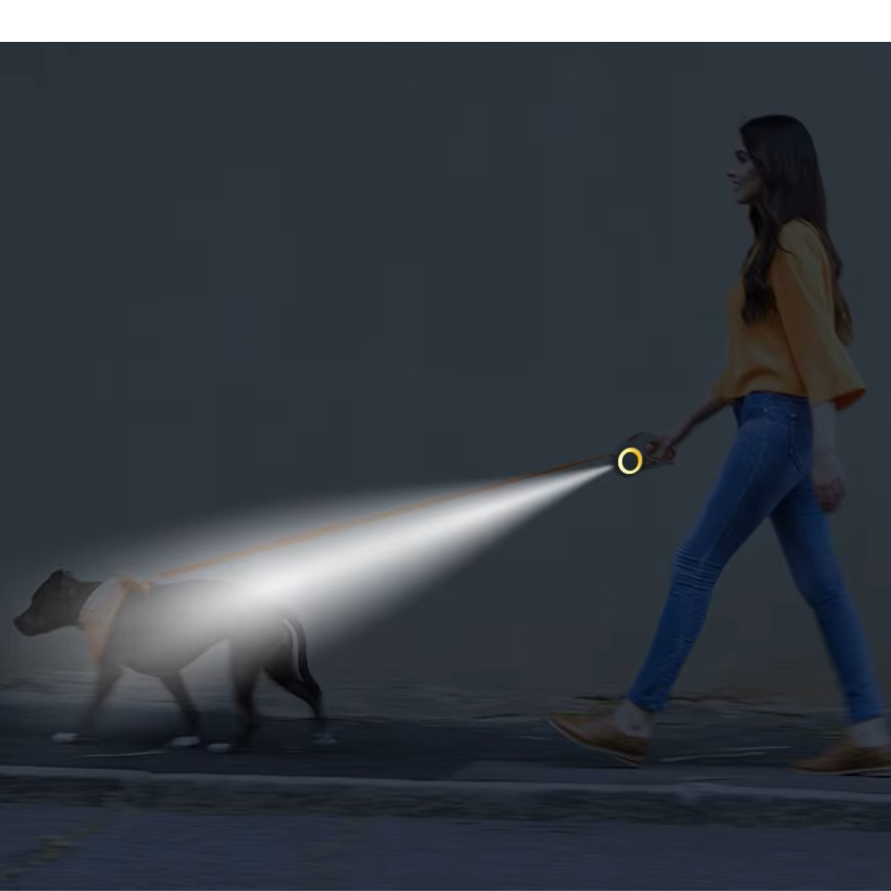 ROJECO Hondenriem met LED licht