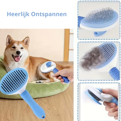 6 in 1 badset voor honden en katten