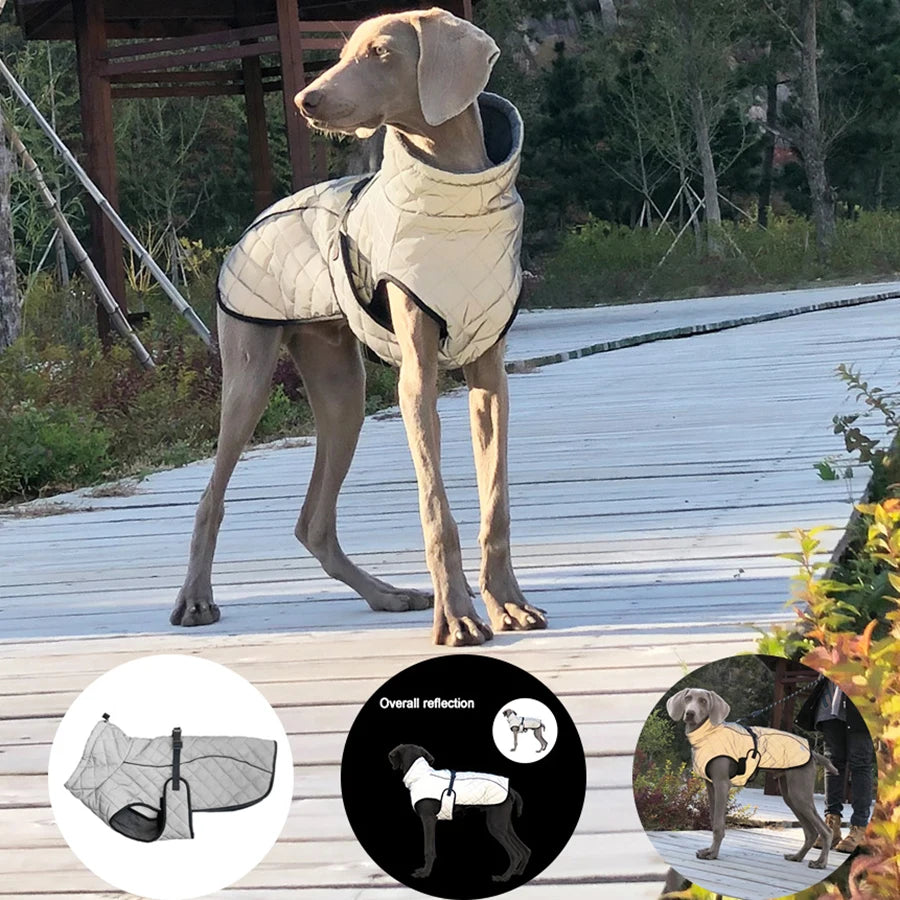 Reflecterende hondenjas – warm, waterdicht & veilig